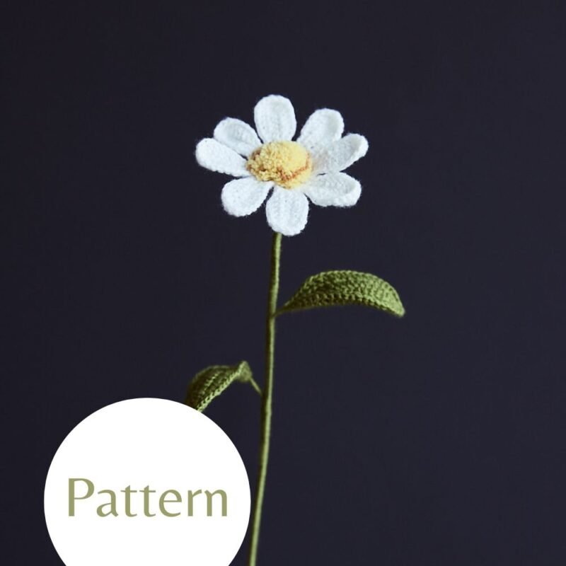 Field Daisy #28